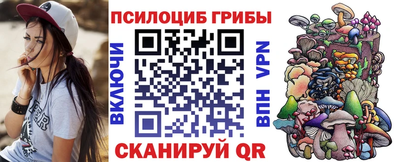 Купить где  Армянск  Псилоцибиновые грибы мухоморы 